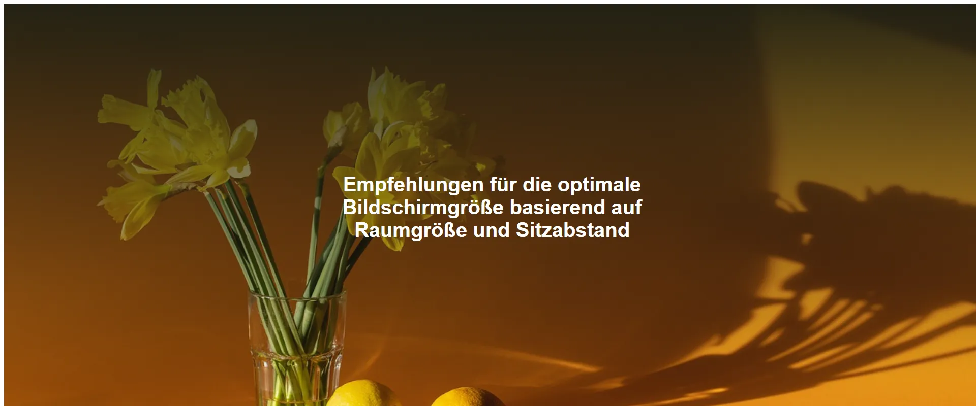 Empfehlungen für die optimale Bildschirmgröße basierend auf Raumgröße und Sitzabstand