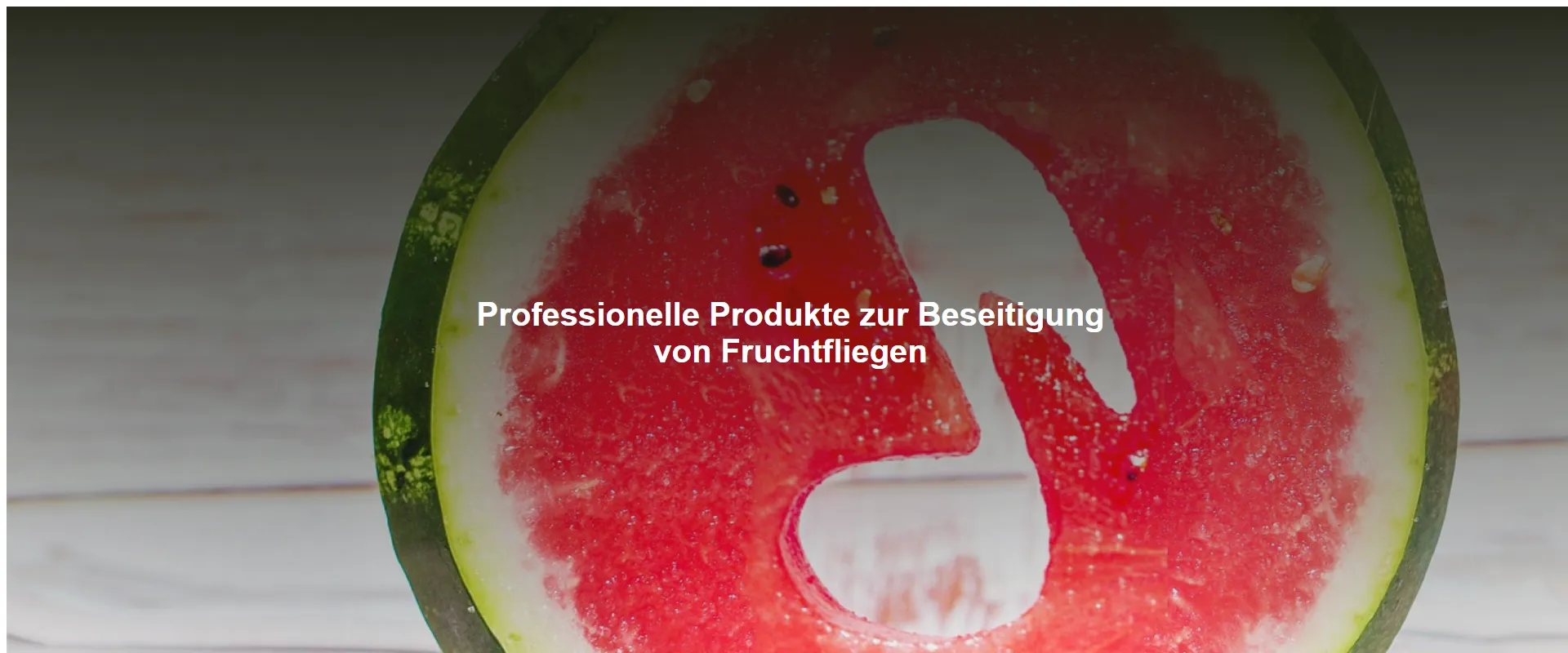 Professionelle Produkte zur Beseitigung von Fruchtfliegen