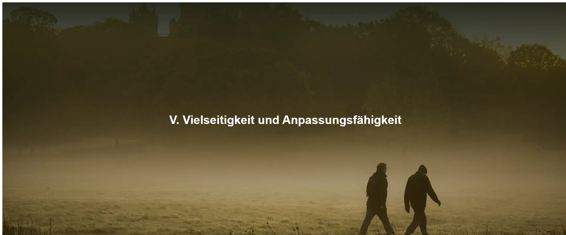 Vielseitigkeit und Anpassungsfähigkeit