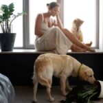 Wie Lange Darf Ein Hund Allein Zu Hause Bleiben